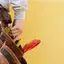 Handyman repair service in Sarasota, FL for home fixes and improvements